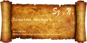 Szentes Norbert névjegykártya